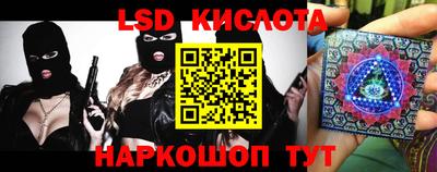 мяу мяу мука Краснознаменск