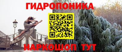 мяу мяу мука Краснознаменск