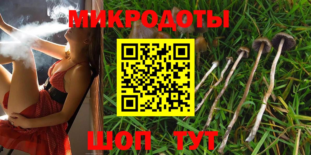 Каменск-Уральский  Галлюциногенные грибы прущие грибы  дарнет шоп  Вход с VPN 